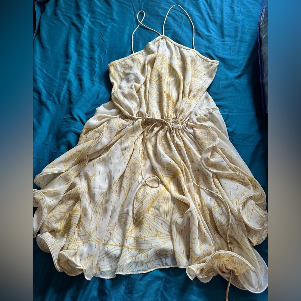 Alexis Ivory and Gold Mini Dress